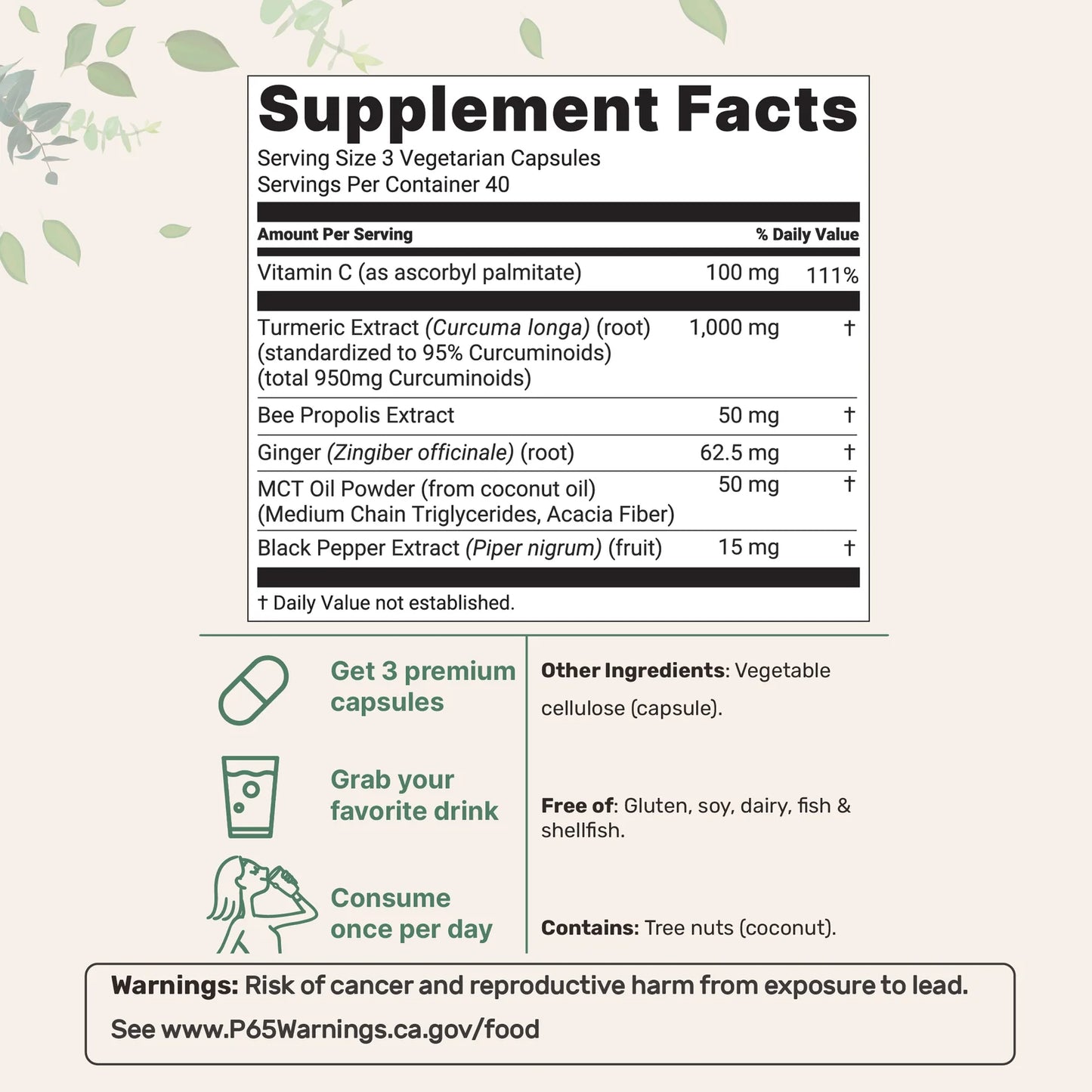 Turmeric Curcumin Capsules (1,000mg)