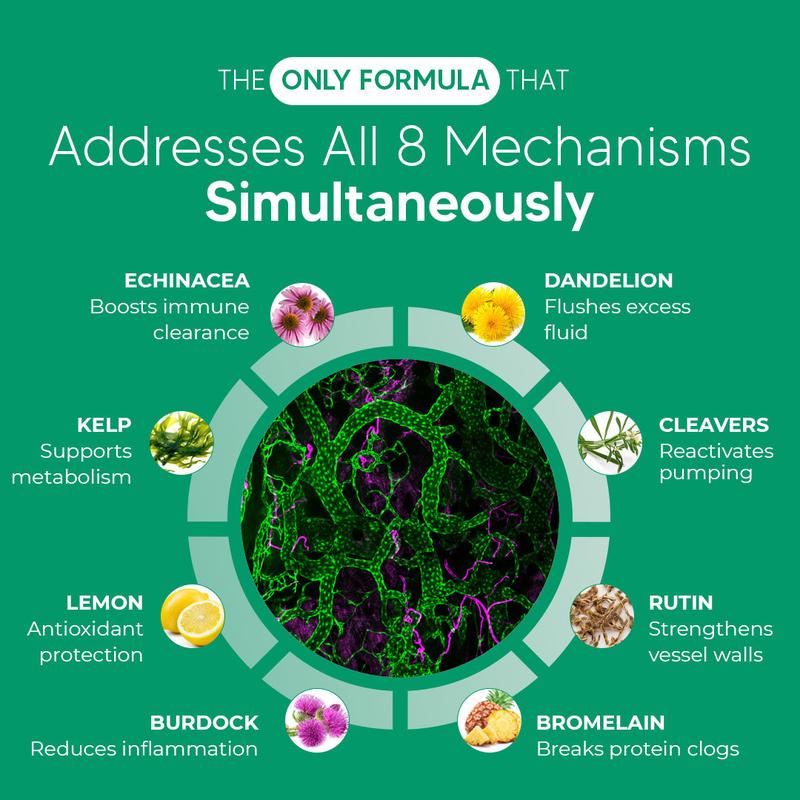 New Maximum Potency Formula - Lymphatic Drainage Capsules